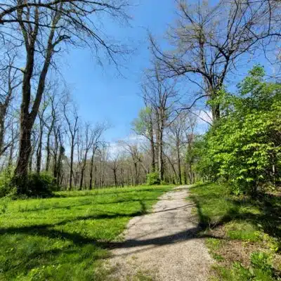 Green grass around trail at Camp Catalpa