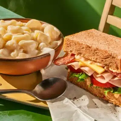Sandwich and mac n' cheese from Panera Bread