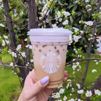 Iced coffee with lavender foam from Starbucks