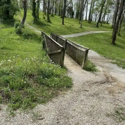 Small bridge on trail in Camp Catalpa
