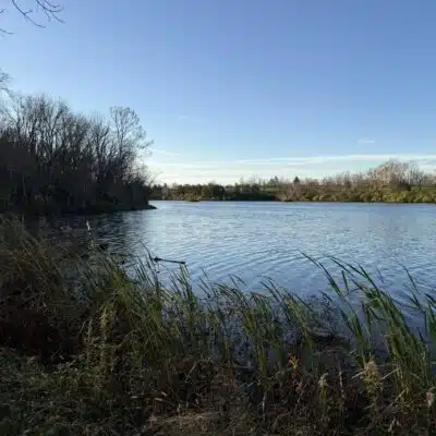 View of Lake Reba from trail at Camp Catalpa