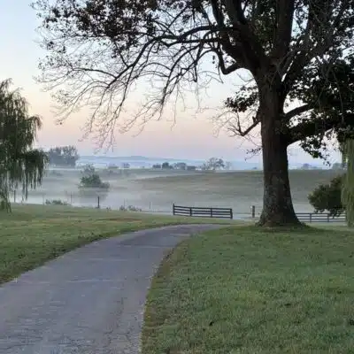 Foggy sunrise at Heritage Hills