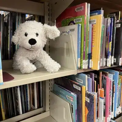 Stuffed dog with children's books at the Madison County Public Library