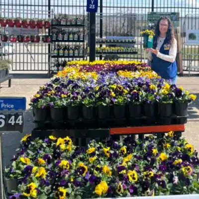 Garden center employee with available flowers