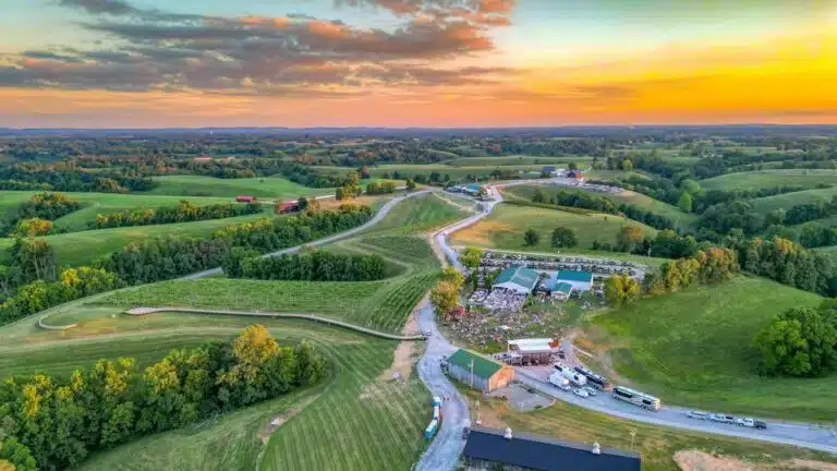 Aerial shot of The Vine at Chenault Vineyards