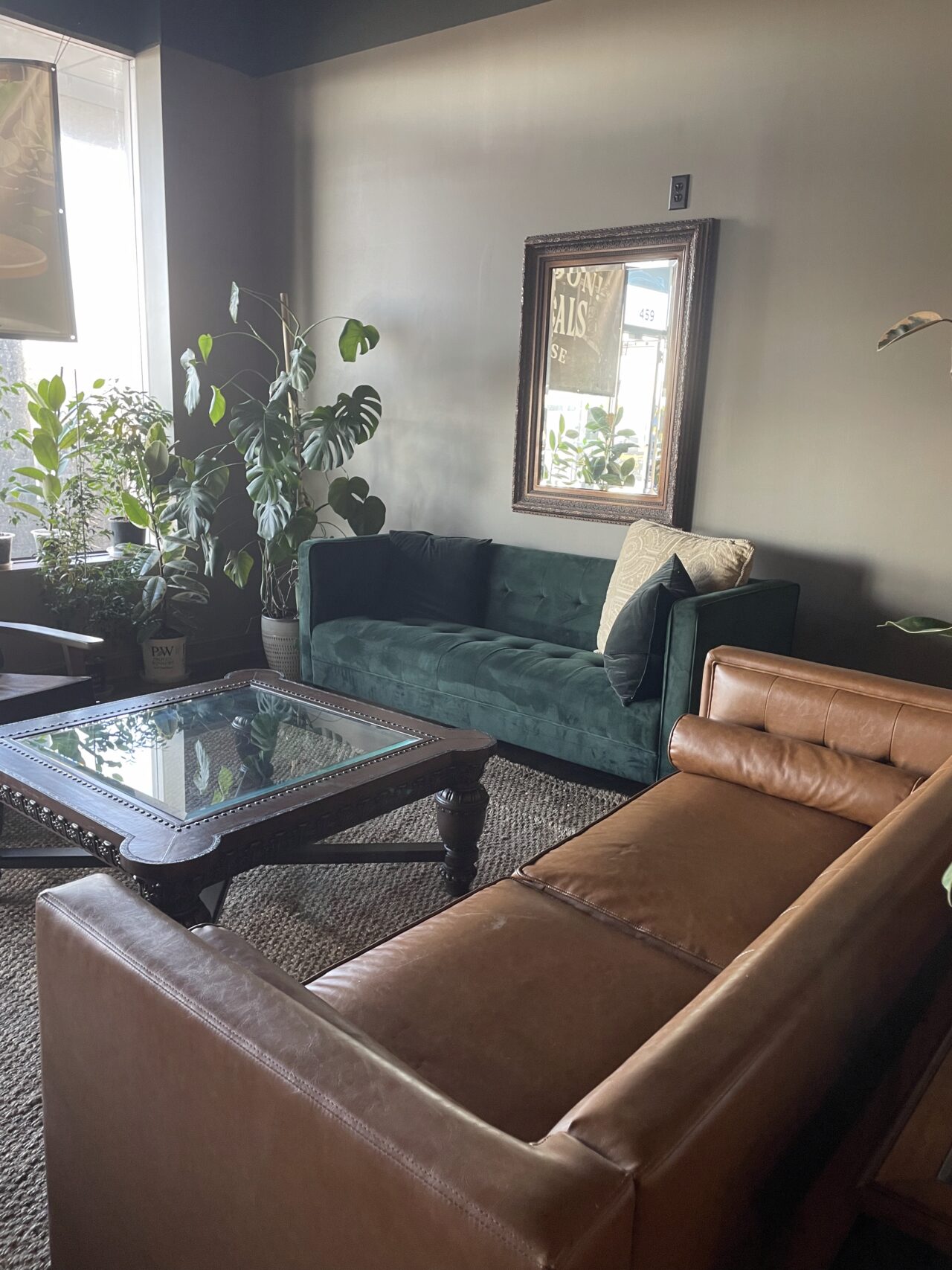 Brewtanicals front door couches