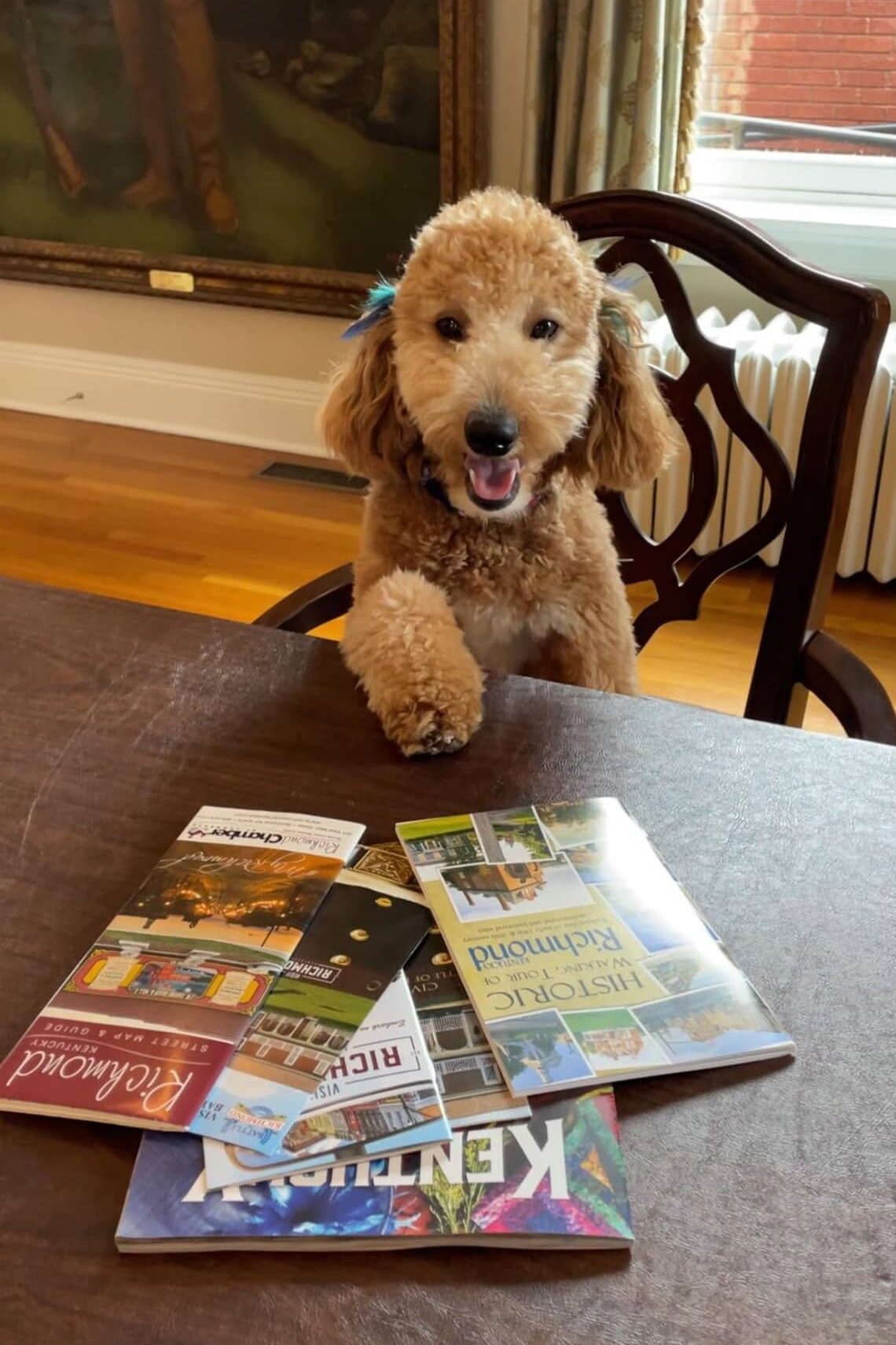 Gracie with Visitor information
