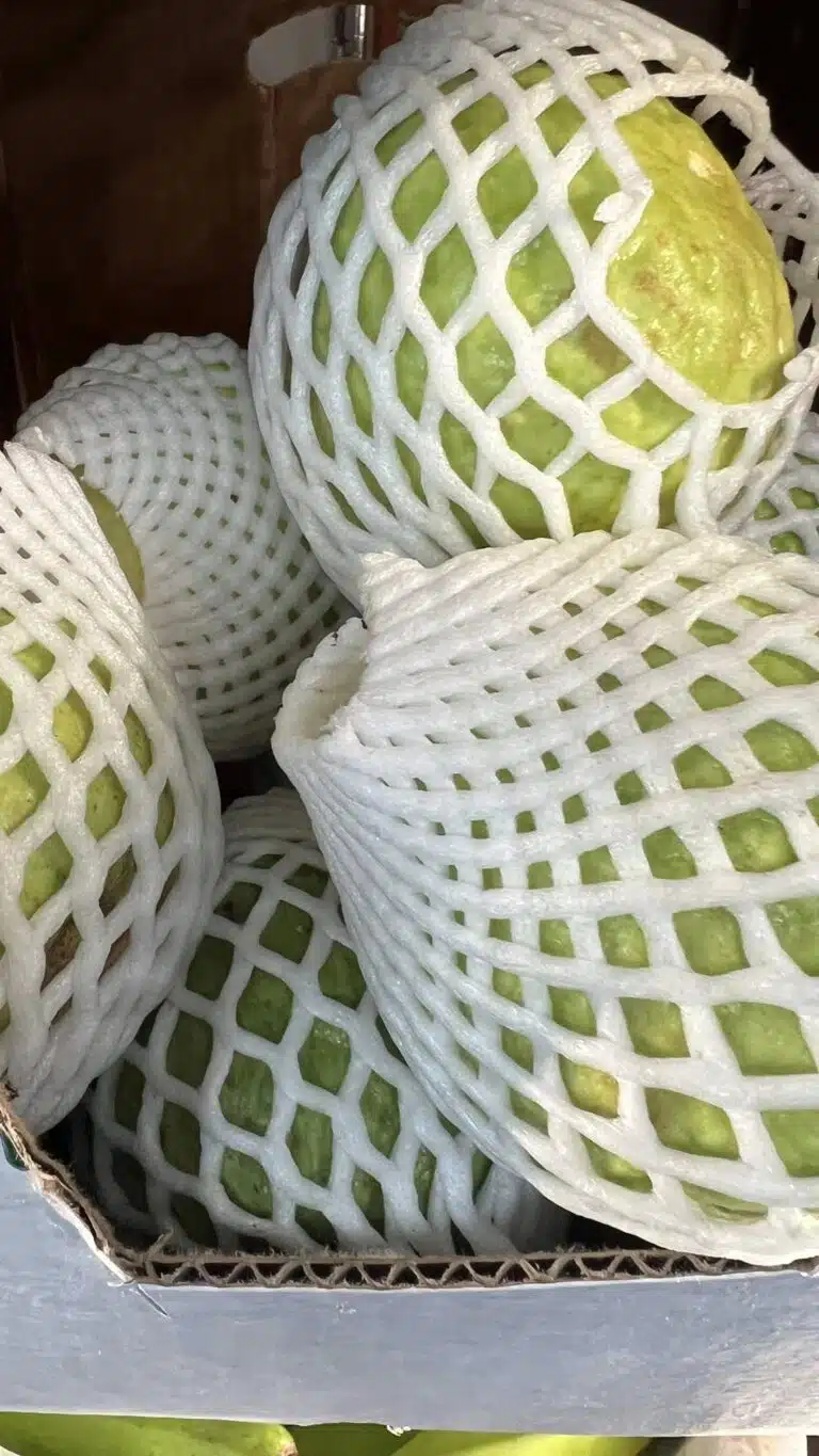 Netted vegetables at Spice of Life