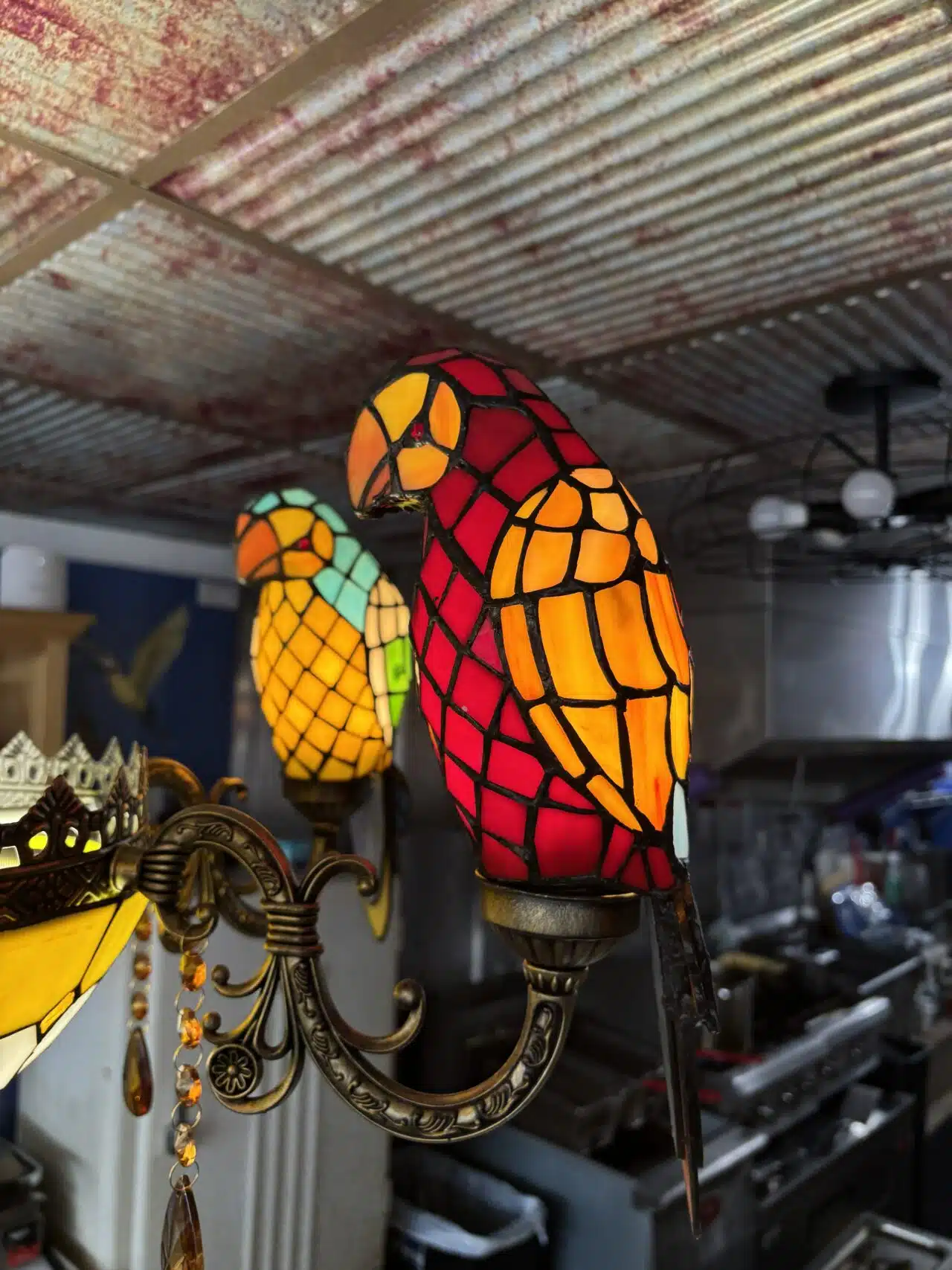Parrot light fixture inside Islands in the Stream