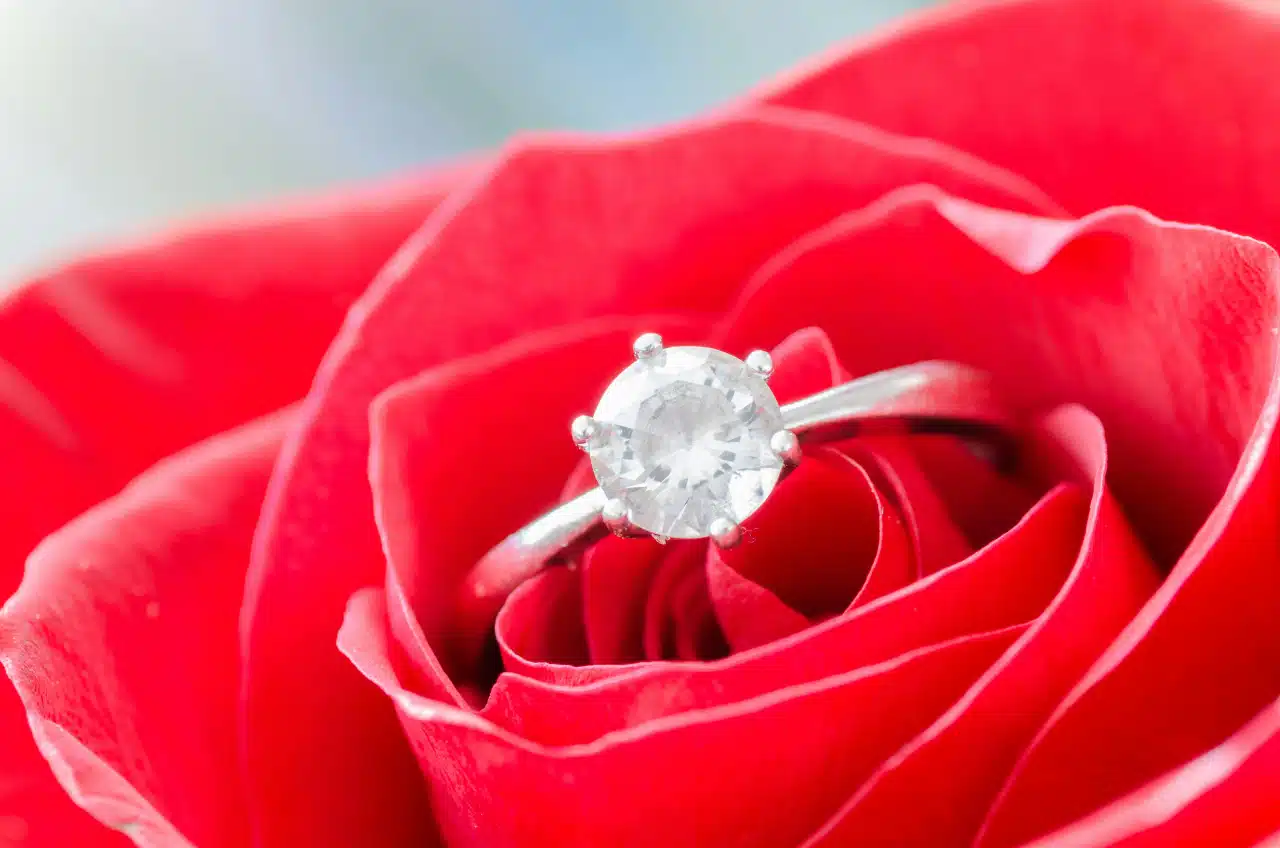 Engagement ring nestled within a red rose